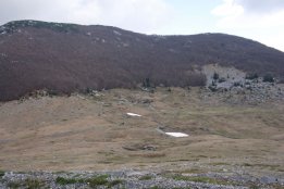 DSC1 (43).jpg